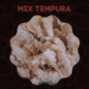 Mix Tempura