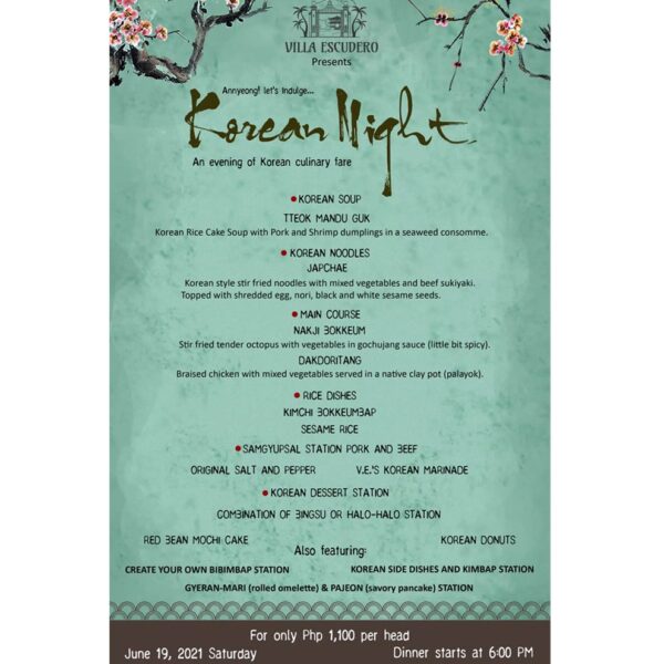 VILLA ESUDERO PROMO KOREAN NIGHT