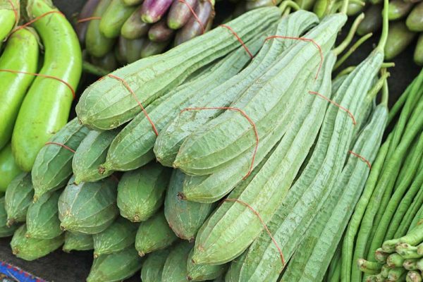 Patola (Luffa Gourd)