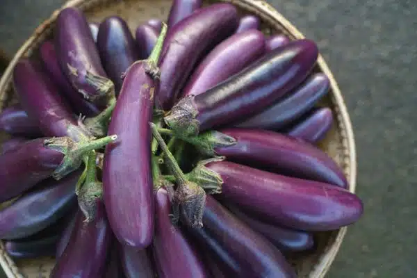 Talong (Eggplant - long)