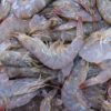 Raw Fresh shrimp