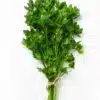 Kinchay (Parsley)