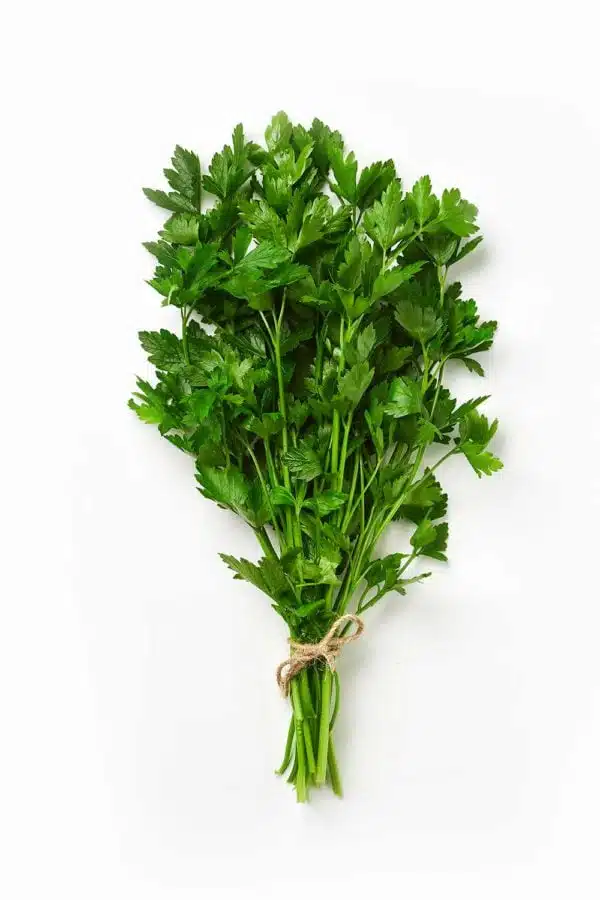 Kinchay (Parsley)