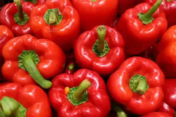 Red Bell Pepper