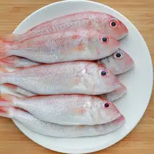 Fish