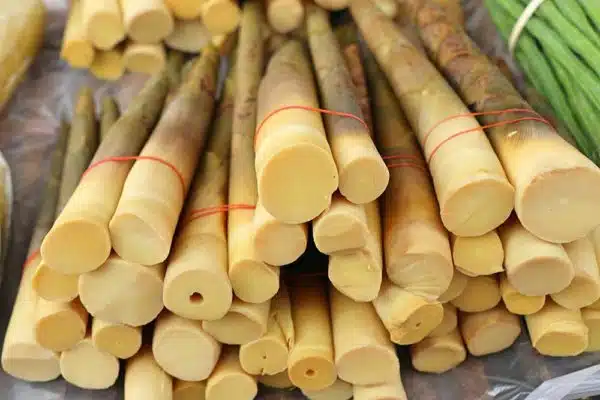 Labong (Bamboo Shoot)