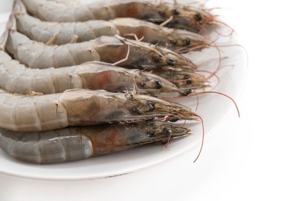 Fresh Shrimp/Prawn