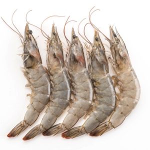 Fresh Shrimp/Prawn