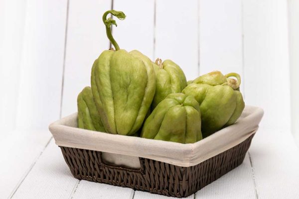 Sayote (Chayote)