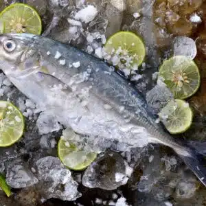 Frozen fresh trevally fish.