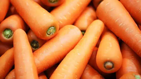 Carrots