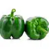 Green Bell Pepper