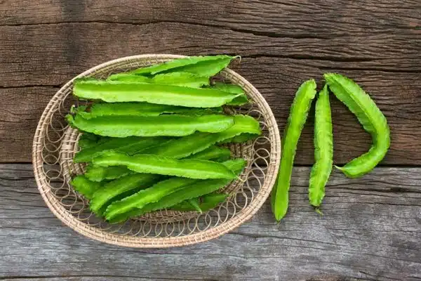 Sigarilyas (Winged Bean)