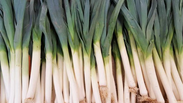 Leeks