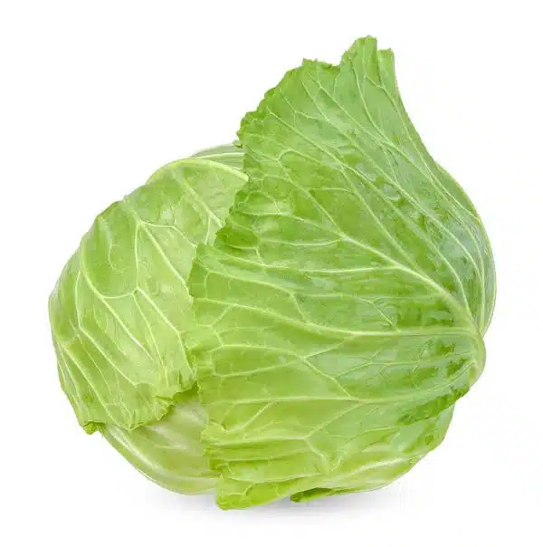 Repolyo (Cabbage)