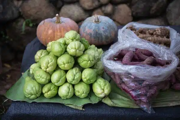 Sayote (Chayote)