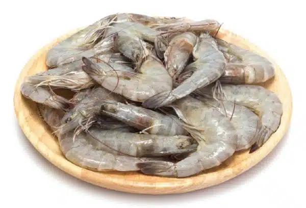 Fresh Shrimp