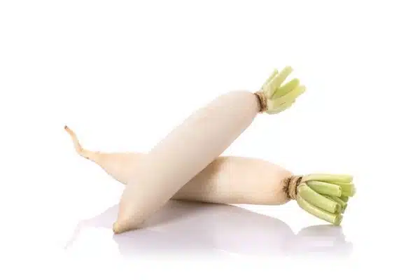 Labanos (Radish)