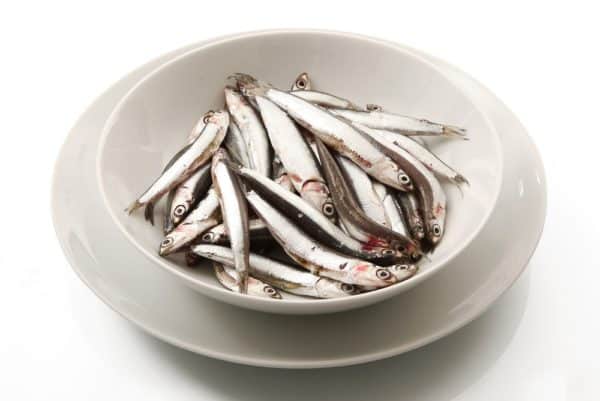 dish of anchovies