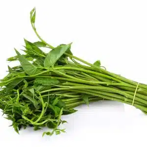 Kangkong (Water Spinach)