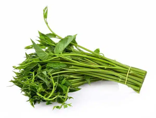 Kangkong (Water Spinach)