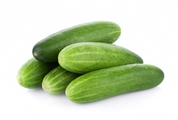 Pipino (Cucumber)