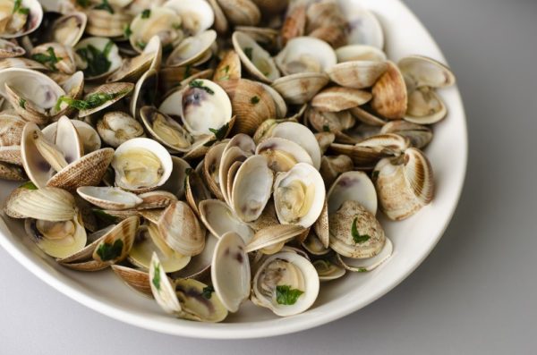 Steamed clams