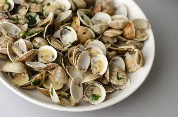 Steamed clams