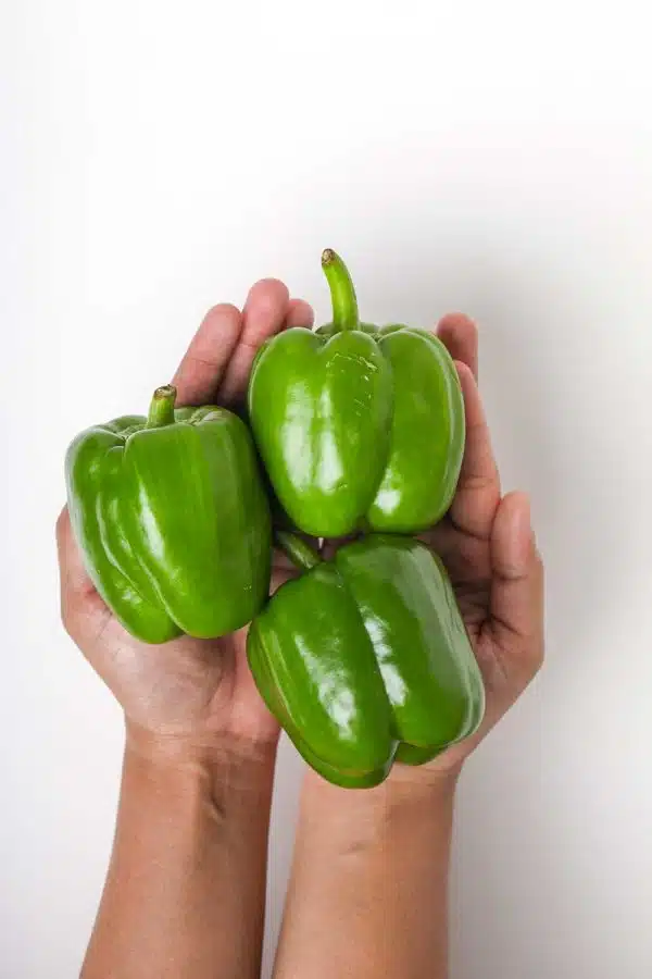 Green Bell Pepper