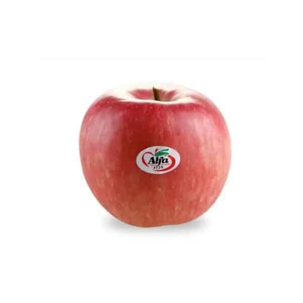 Alfa Fuji Apple