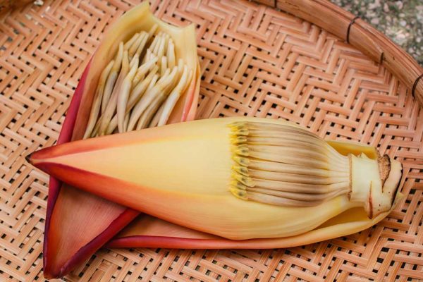 Banana Blossom