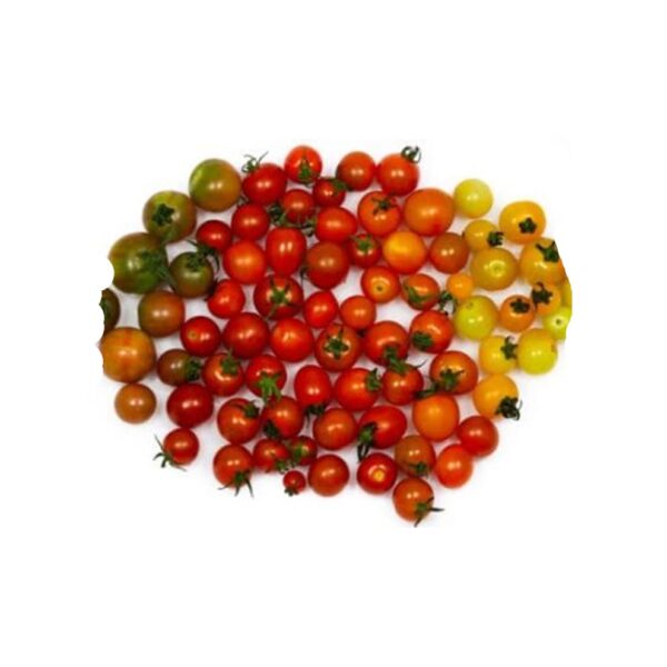 Cherry Tomato pack