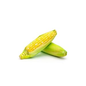 Dilaw na Mais Sweet Corn