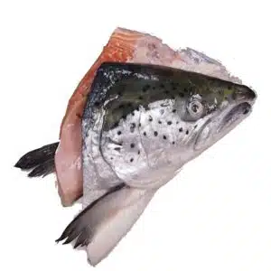 FRESH-SALMON-HEAD