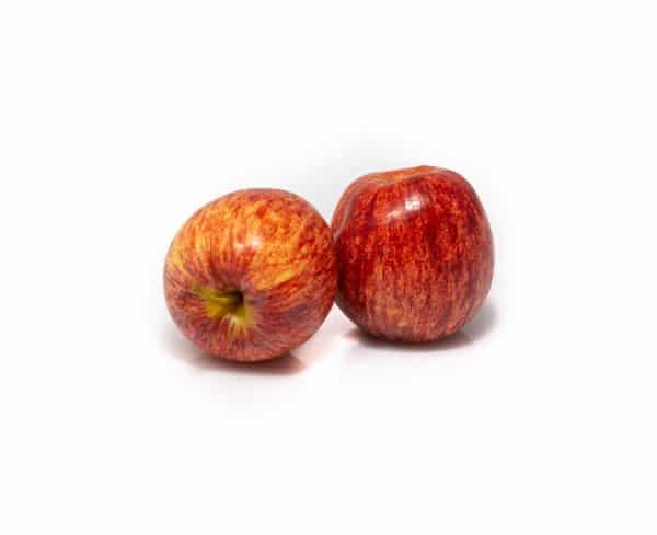 Gala Apple