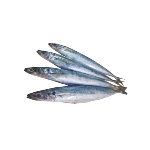 Galunggong Small Round Scad – 1KG