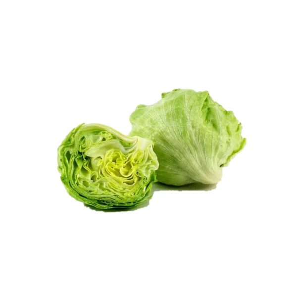 Lettuce Iceberg Lolo Roso