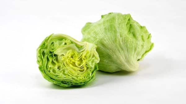 Lettuce Iceberg/ Lolo Roso