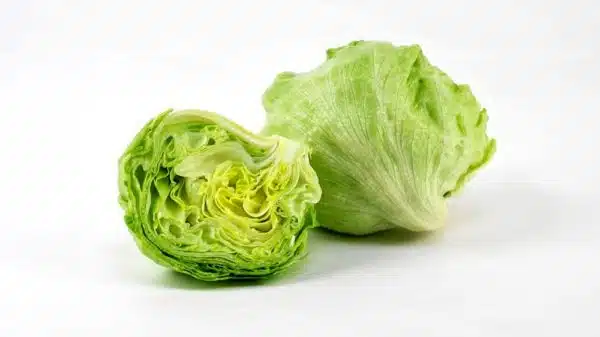 Lettuce Iceberg/ Lolo Roso