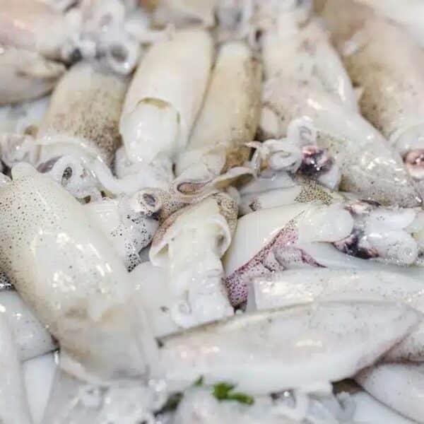 Pusit Baby Squid – 1KG