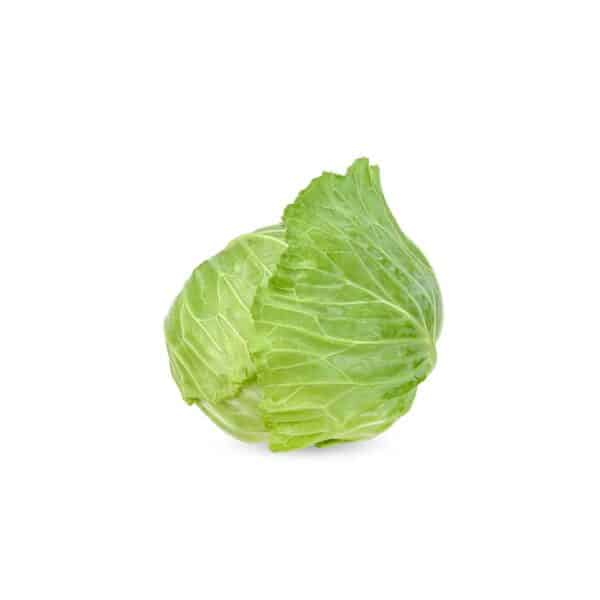 Repolyo Cabbage