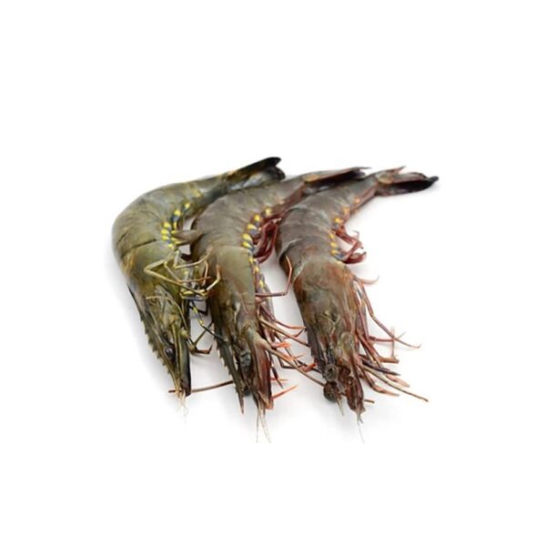 Shrimp Large – 1KG