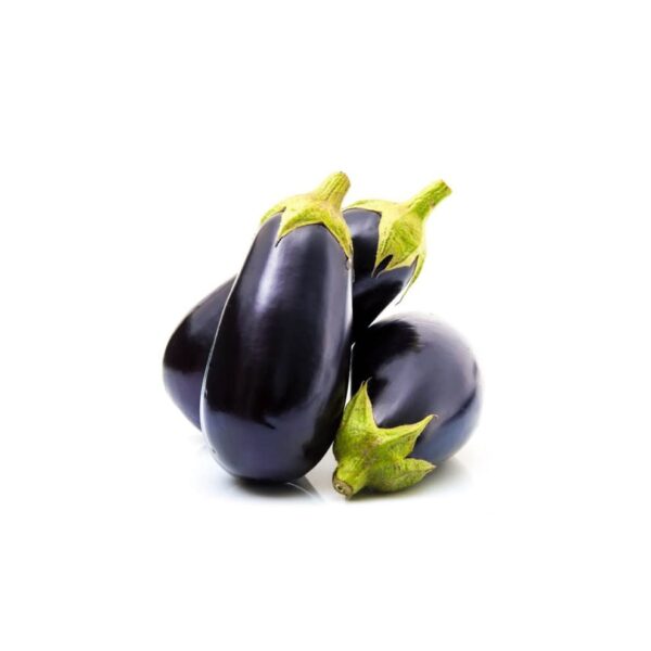 Talong Bilog Eggplant