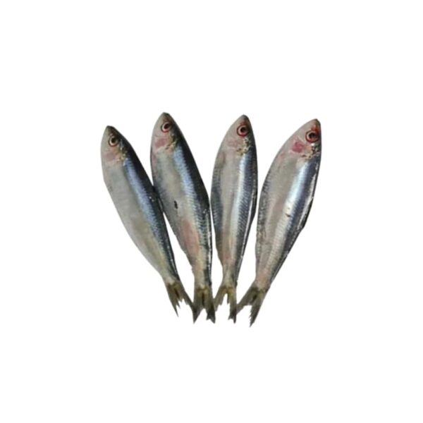 Tawilis Sardinella Tawilis Big – 1KG min