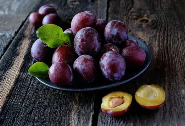 aus-plum