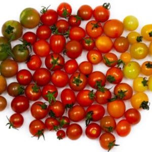 Cherry Tomato