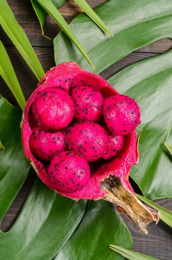 dragon-fruit-red