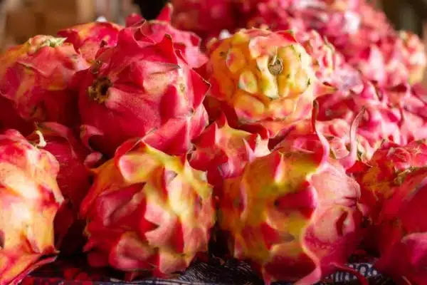 dragon-fruit-red