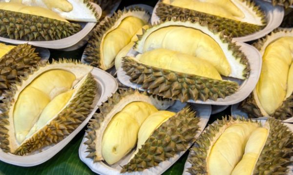 durian