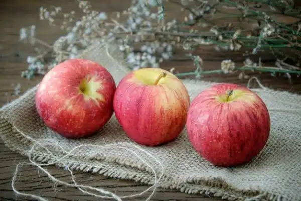 Gala Apple